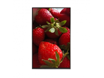 10.1寸LCD液晶屏 LCD彩屏 豎屏 800*1280分辨率 IPS屏 TFT LCD液晶顯示模組